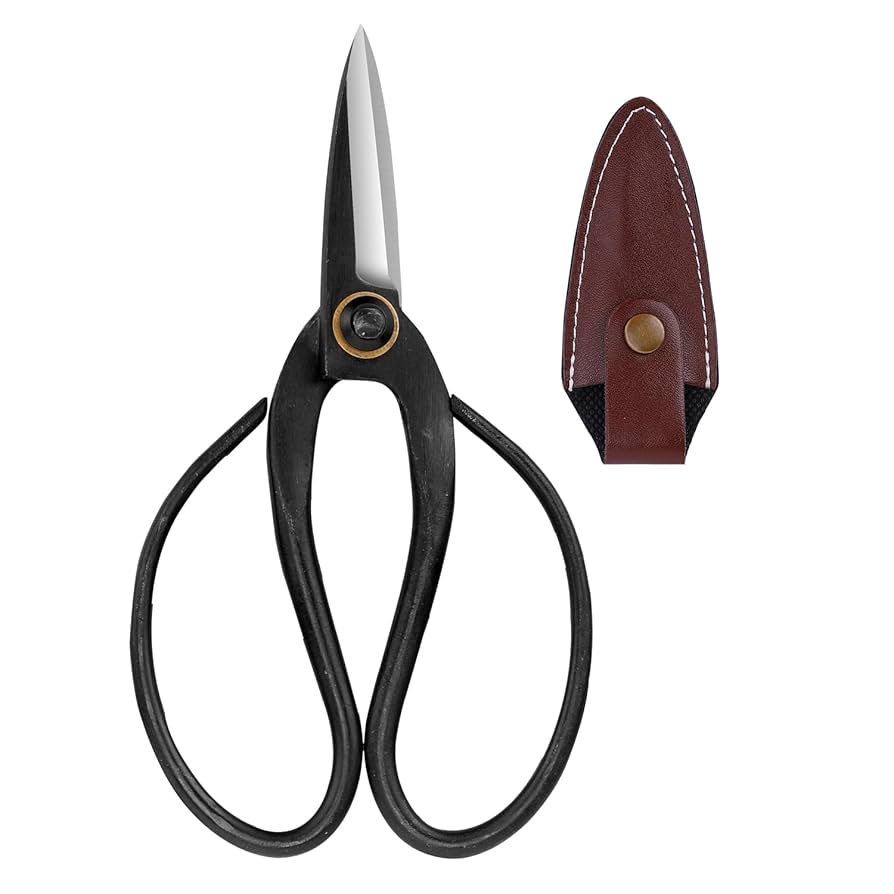 Amazon.com : VISEMAN Japanese Bonsai Pruning Scissors